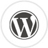 WordPress Developers